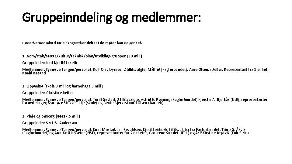 Gruppeinndeling og medlemmer: Hovedverneombud Jarle Krogsæther deltar i de møter han velger selv. 1.