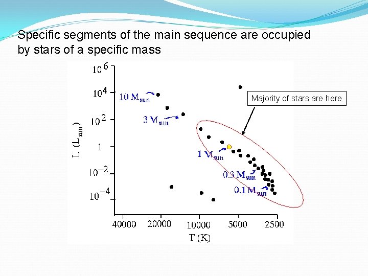 Specific segments of the main sequence are occupied by stars of a specific mass