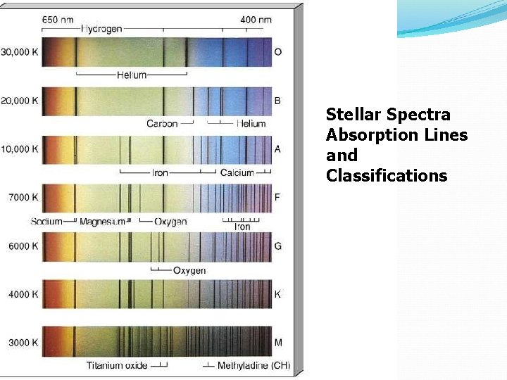 Stellar Spectra Absorption Lines and Classifications 