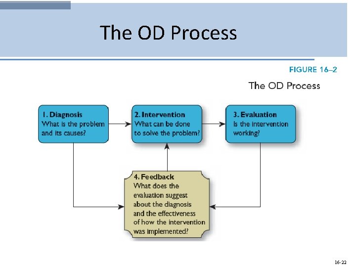 The OD Process 16 -22 