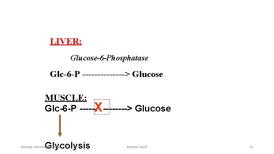 LIVER: Glucose-6 -Phosphatase Glc-6 -P -------> Glucose MUSCLE: Glc-6 -P ------X----> Glucose Glycolysis Monday,
