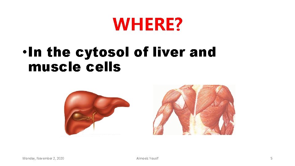 WHERE? • In the cytosol of liver and muscle cells Monday, November 2, 2020
