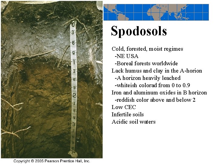 Spodosols Cold, forested, moist regimes -NE USA -Boreal forests worldwide Lack humus and clay