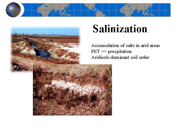 Salinization Accumulation of salts in arid areas PET >> precpitation Aridisols dominant soil order