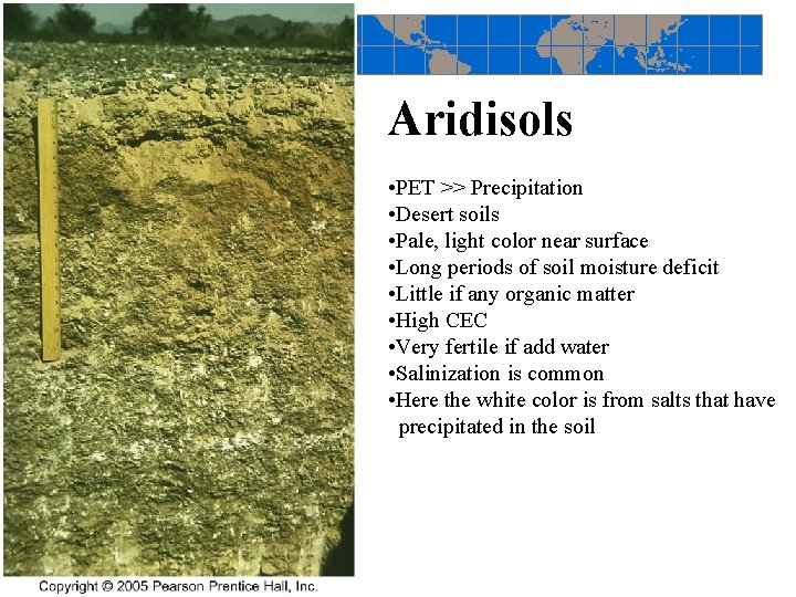 Aridisols • PET >> Precipitation • Desert soils • Pale, light color near surface