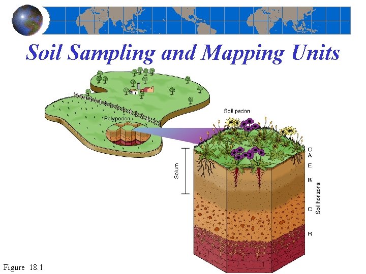 Soil Sampling and Mapping Units Figure 18. 1 