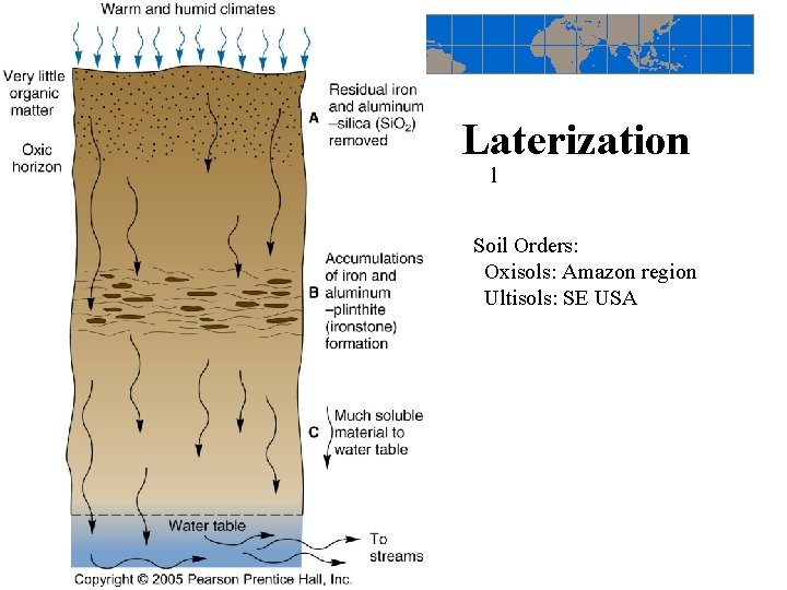 Laterization l Soil Orders: Oxisols: Amazon region Ultisols: SE USA 