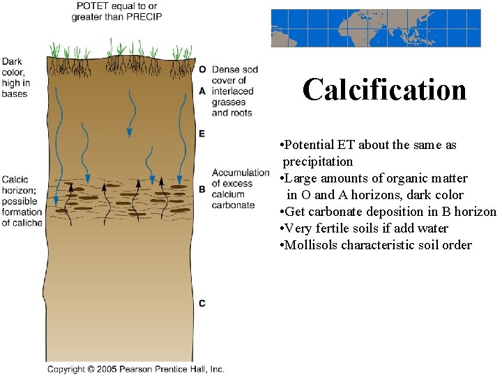 Calcification • Potential ET about the same as precipitation • Large amounts of organic