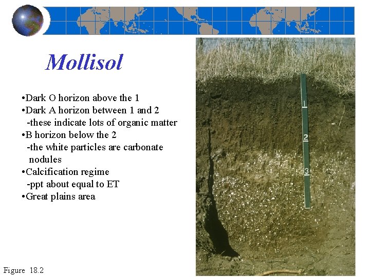 Mollisol • Dark O horizon above the 1 • Dark A horizon between 1