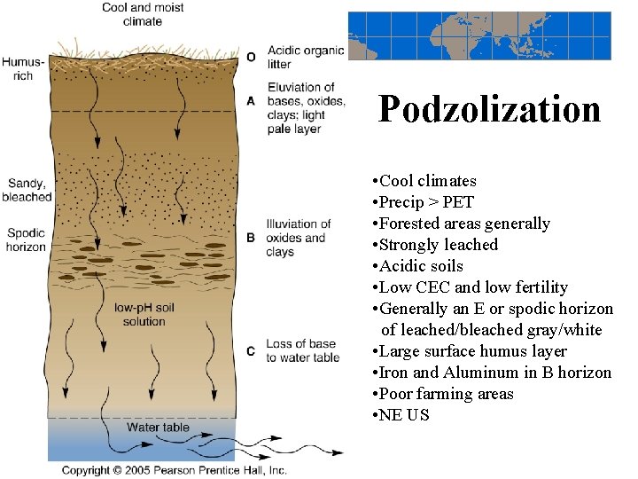 Podzolization • Cool climates • Precip > PET • Forested areas generally • Strongly