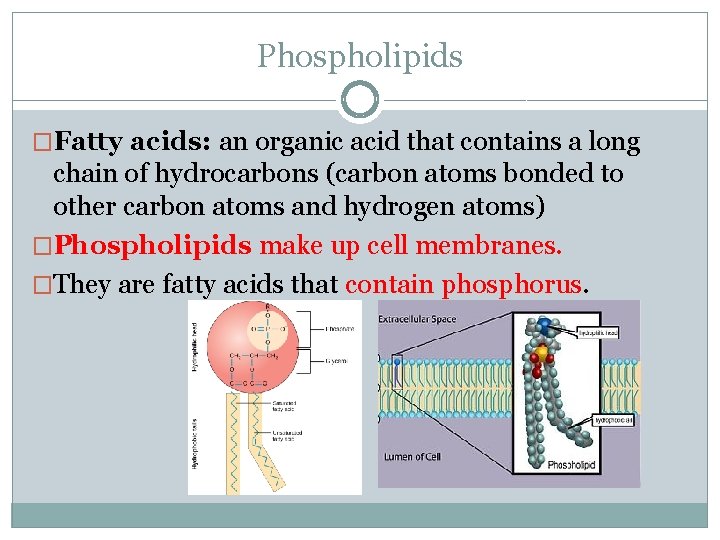 Phospholipids �Fatty acids: an organic acid that contains a long chain of hydrocarbons (carbon