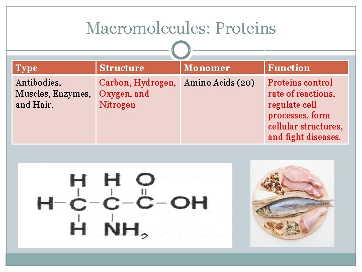Macromolecules: Proteins Type Structure Monomer Antibodies, Carbon, Hydrogen, Amino Acids (20) Muscles, Enzymes, Oxygen,