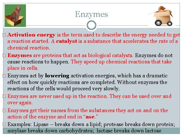 Enzymes � Activation energy is the term used to describe the energy needed to