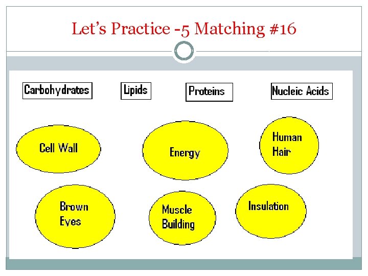 Let’s Practice -5 Matching #16 