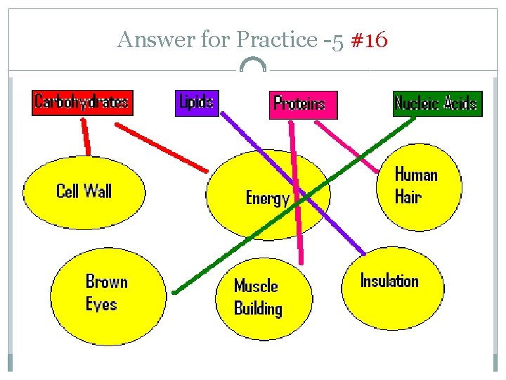 Answer for Practice -5 #16 