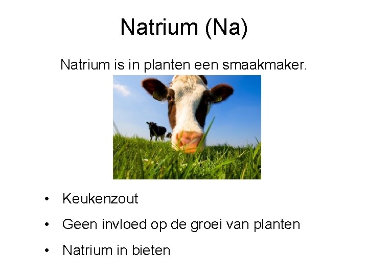 Natrium (Na) Natrium is in planten een smaakmaker. • Keukenzout • Geen invloed op