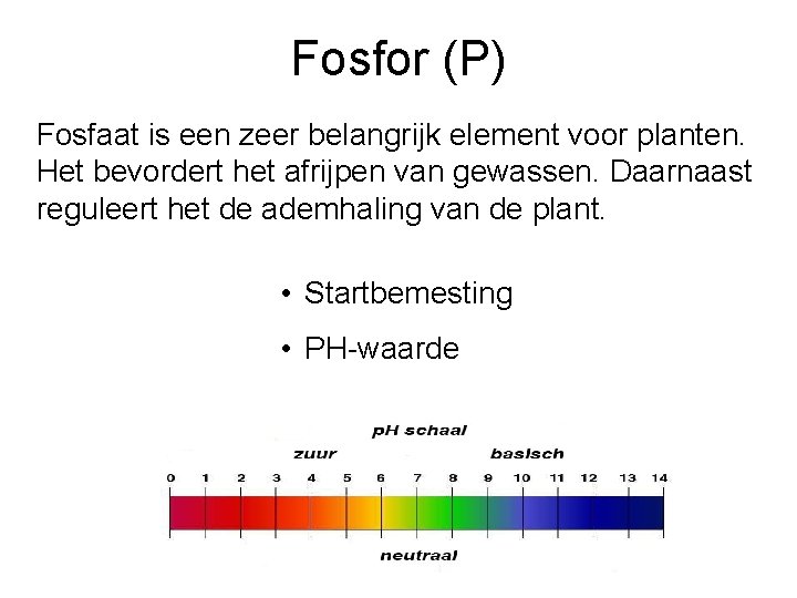 Fosfor (P) Fosfaat is een zeer belangrijk element voor planten. Het bevordert het afrijpen