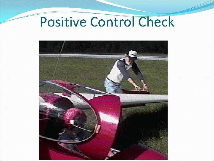 Positive Control Check 