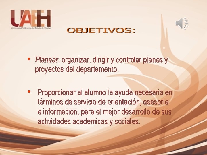  • Planear, organizar, dirigir y controlar planes y proyectos del departamento. • Proporcionar