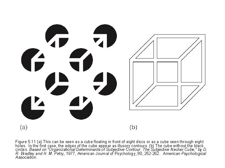 Figure 5. 11 (a) This can be seen as a cube floating in front