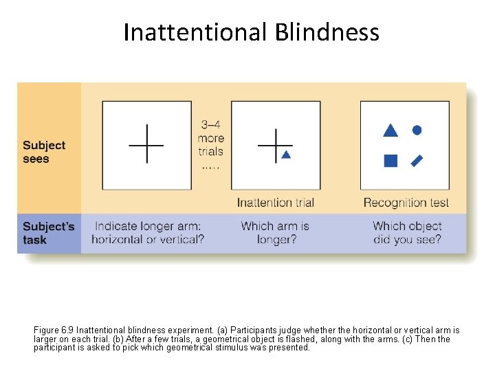 Inattentional Blindness Figure 6. 9 Inattentional blindness experiment. (a) Participants judge whether the horizontal