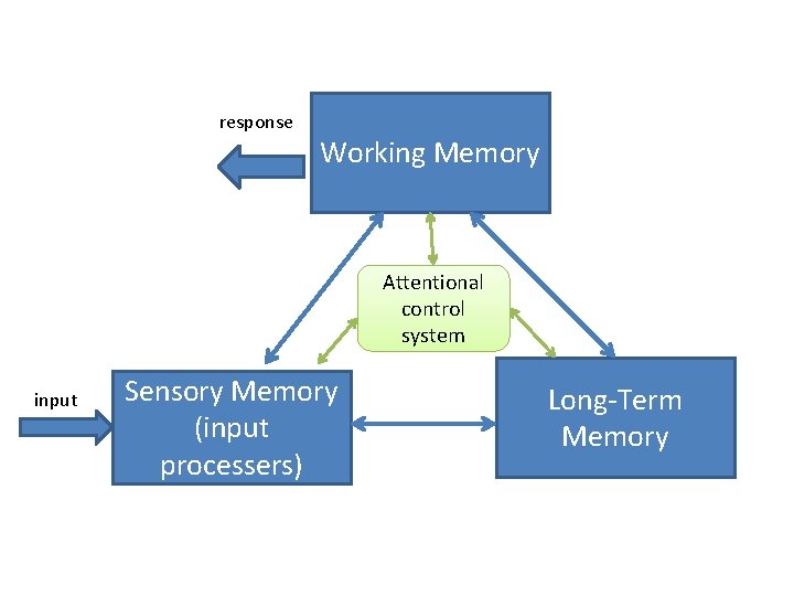 response Working Memory Attentional control system input Sensory Memory (input processers) Long-Term Memory 