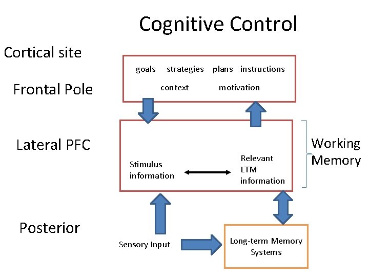 Cognitive Control Cortical site goals Frontal Pole strategies context Lateral PFC Stimulus information Posterior