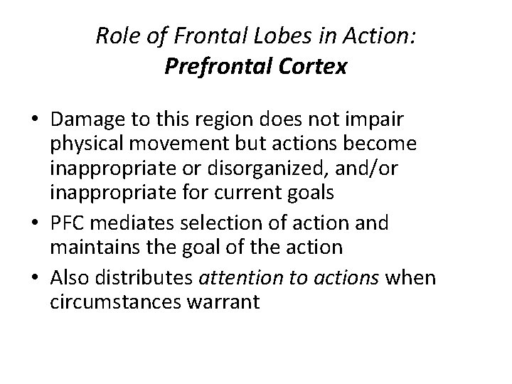 Role of Frontal Lobes in Action: Prefrontal Cortex • Damage to this region does