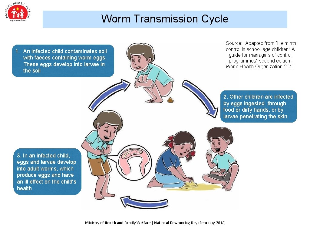 Worm Transmission Cycle 1 Source: Adapted from “Helminth control in school-age children: A guide Worm Transmission Cycle 1 Source: Adapted from “Helminth control in school-age children: A guide