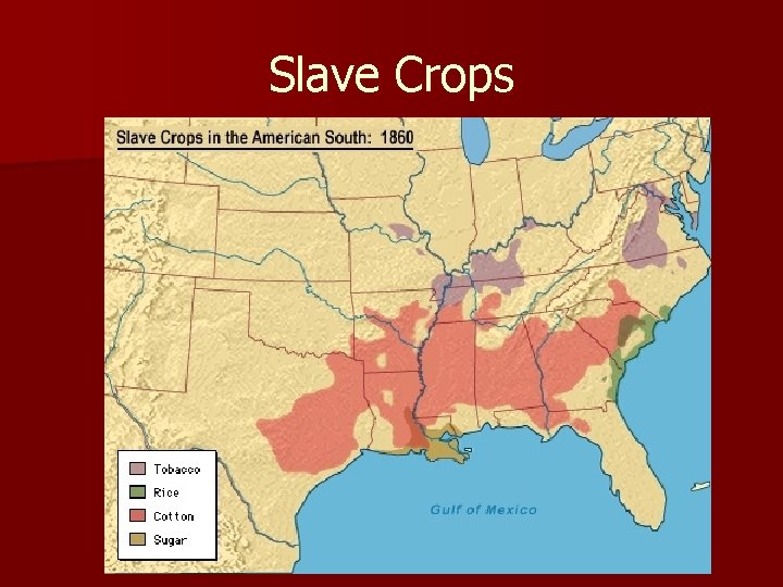 Slave Crops 