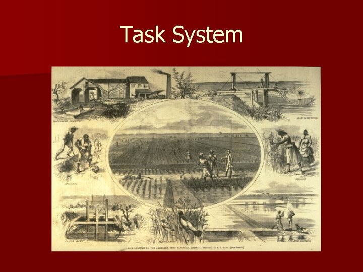 Task System 