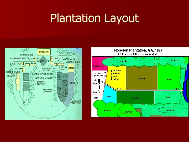 Plantation Layout 