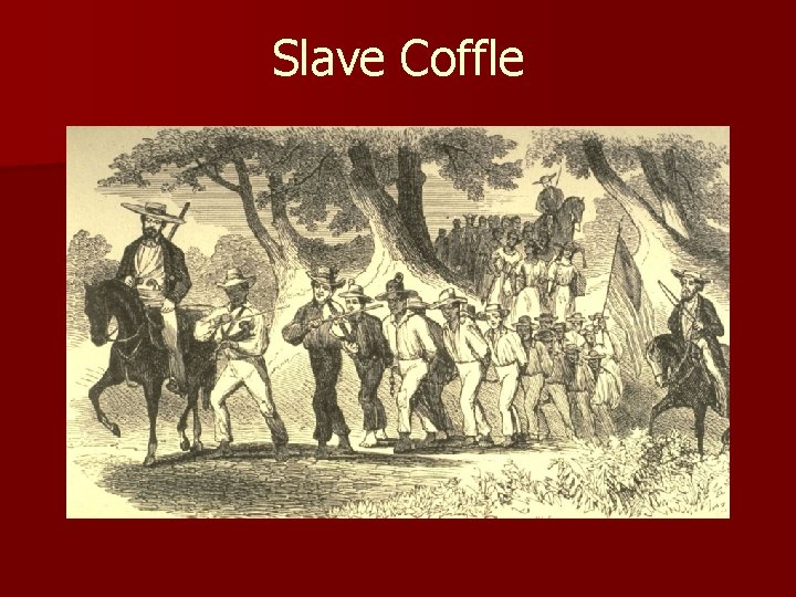 Slave Coffle 