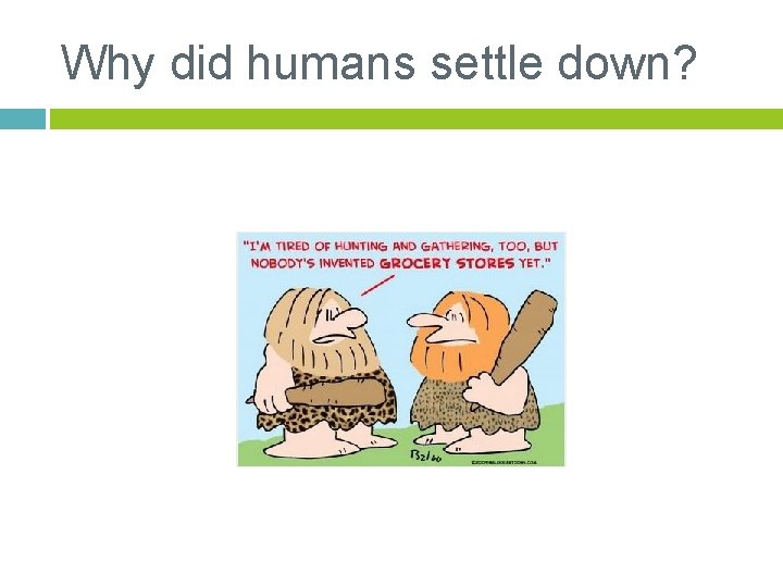 Why did humans settle down? 