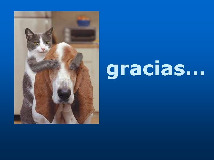 gracias… 