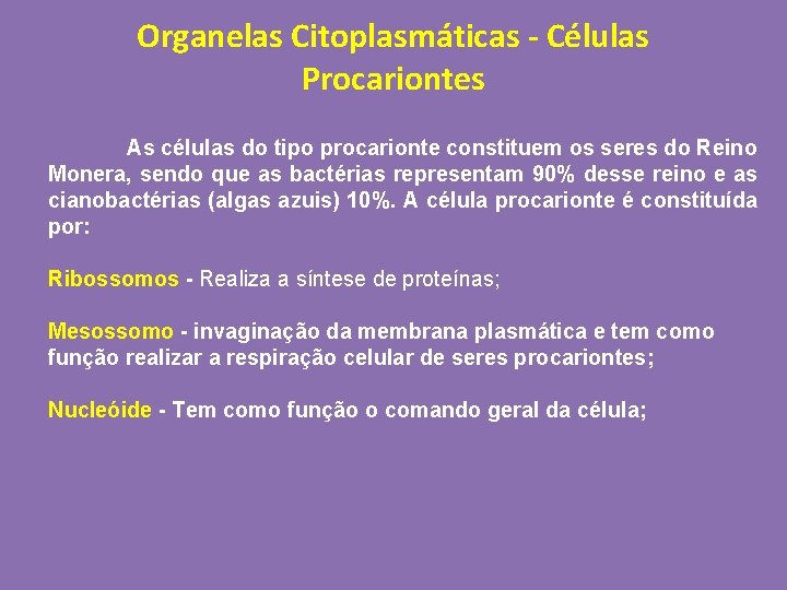 Organelas Citoplasmáticas - Células Procariontes As células do tipo procarionte constituem os seres do