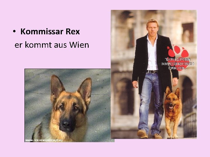  • Kommissar Rex er kommt aus Wien 