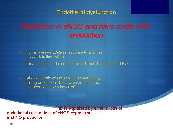 Endothelial dysfunction Reduction in e. NOS and nitric oxide (NO) production S Normal vessels