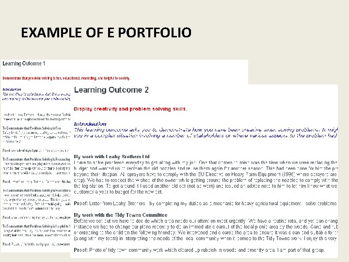 EXAMPLE OF E PORTFOLIO 