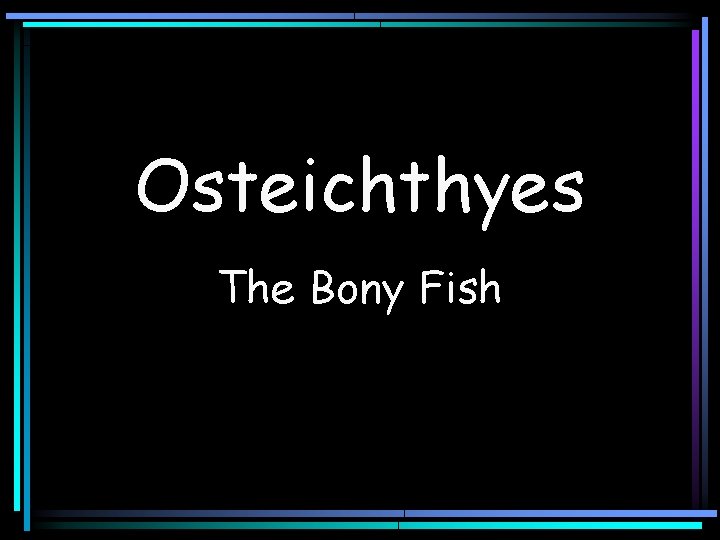 Osteichthyes The Bony Fish 