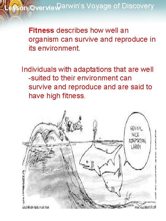 Darwin’s Voyage of Discovery Lesson Overview Fitness describes how well an organism can survive