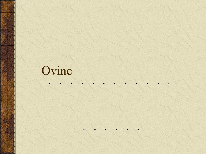 Ovine 