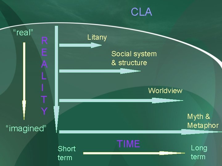 CLA “real” Litany R E A L I T Y Social system & structure