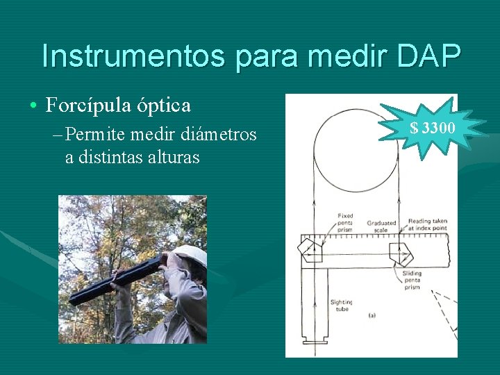 Instrumentos para medir DAP • Forcípula óptica – Permite medir diámetros a distintas alturas