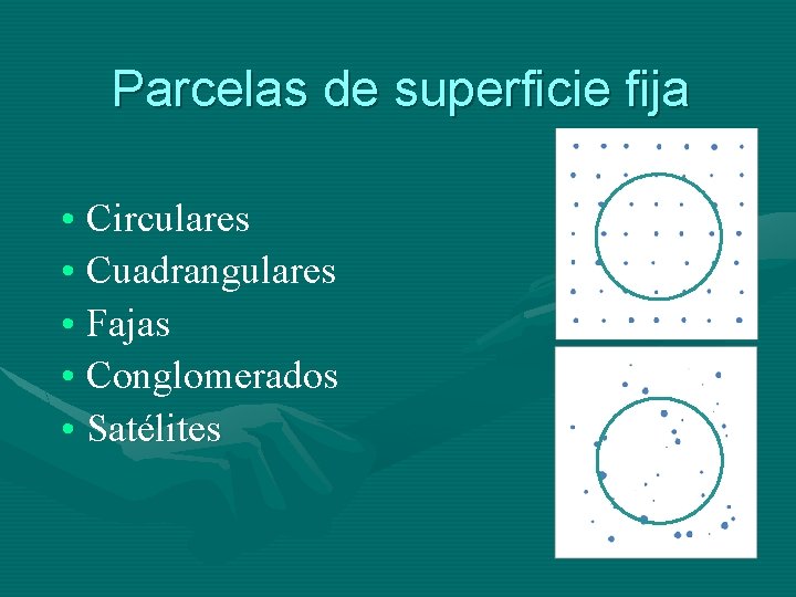 Parcelas de superficie fija • Circulares • Cuadrangulares • Fajas • Conglomerados • Satélites