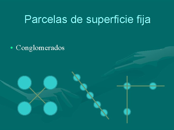 Parcelas de superficie fija • Conglomerados 