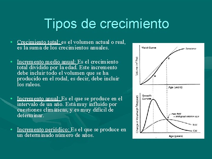 Tipos de crecimiento • Crecimiento total: es el volumen actual o real, es la