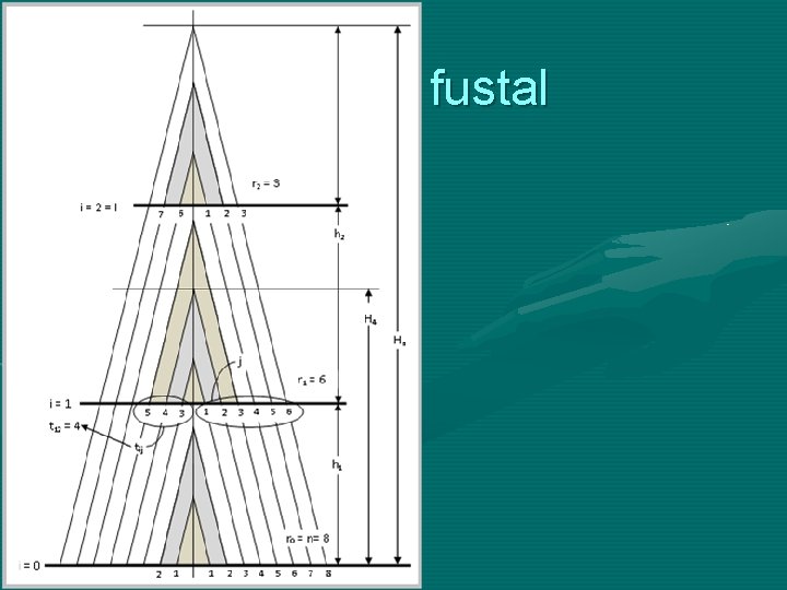 Análisis fustal 