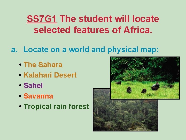 SS 7 G 1 The student will locate selected features of Africa. a. Locate