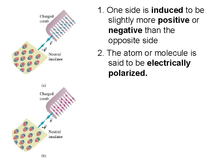 1. One side is induced to be slightly more positive or negative than the